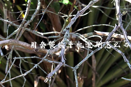 用套餐换手机逾期怎么办 用套餐换手机逾期怎么办