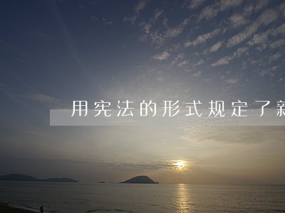 用宪法的形式规定了新产生的社会 用宪法的形式规定了新产生的社会