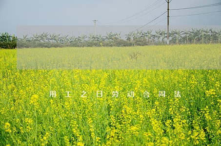 用工之日劳动合同法 用工之日劳动合同法