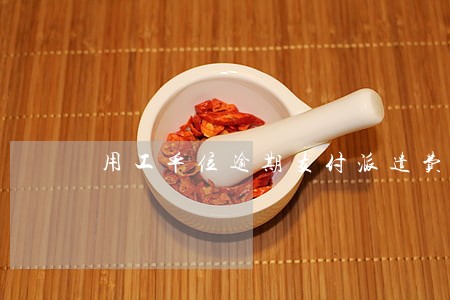 用工单位逾期支付派遣费用 用工单位逾期支付派遣费用