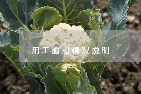用工逾期情况说明 用工逾期情况说明