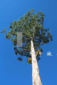 用币做手机壳属于违法吗