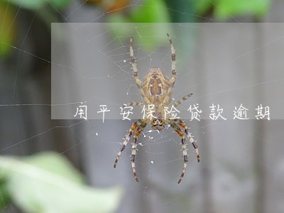 用平安保险贷款逾期 用平安保险贷款逾期
