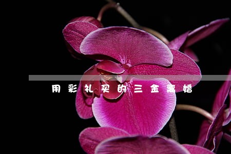 用彩礼买的三金离婚 用彩礼买的三金离婚