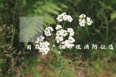 用徦房产证办理消防征违法吗 用徦房产证办理消防征违法吗
