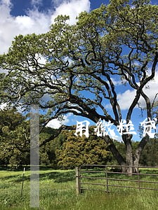 用微粒贷从来没有逾期 用微粒贷从来没有逾期