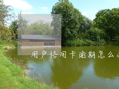 用户信用卡逾期怎么办 用户信用卡逾期怎么办