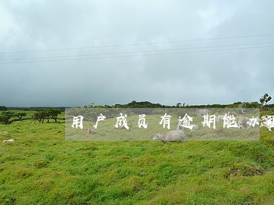 用户成员有逾期能办理房贷吗 用户成员有逾期能办理房贷吗