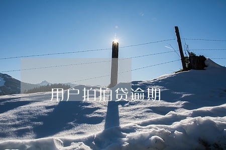 用户拍拍贷逾期 用户拍拍贷逾期