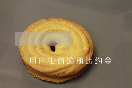 用户电费逾期违约金 用户电费逾期违约金
