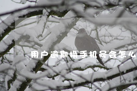 用户逾期换手机号会怎么样 用户逾期换手机号会怎么样