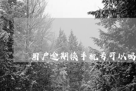 用户逾期换手机号可以吗 用户逾期换手机号可以吗