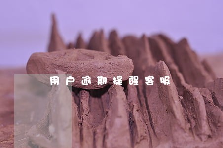 用户逾期提醒客服