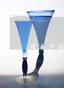 用房产担保诉讼 用房产担保诉讼