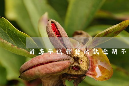 用房子抵押贷的款逾期不还会怎样 用房子抵押贷的款逾期不还会怎样