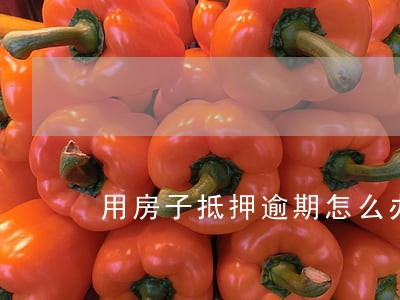 用房子抵押逾期怎么办 用房子抵押逾期怎么办