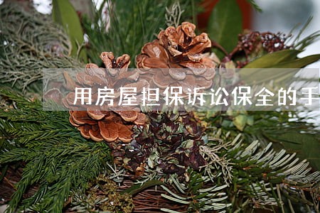 用房屋担保诉讼保全的手续 用房屋担保诉讼保全的手续