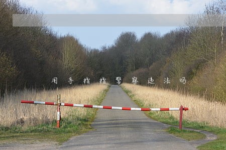 用手指指警察违法吗