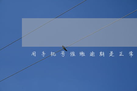 用手机号催缴逾期是正常的吗 用手机号催缴逾期是正常的吗