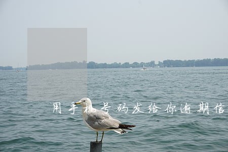 用手机号码发给你逾期信息 用手机号码发给你逾期信息