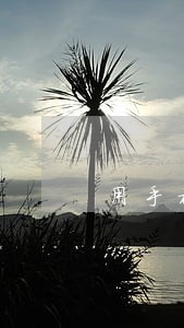 用手机软件贷款逾期会怎么样