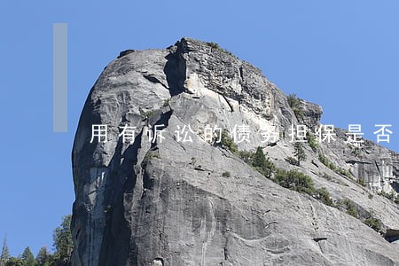 用有诉讼的债务担保是否违法 用有诉讼的债务担保是否违法