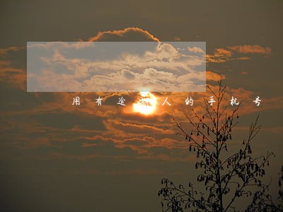 用有逾期人的手机号 用有逾期人的手机号