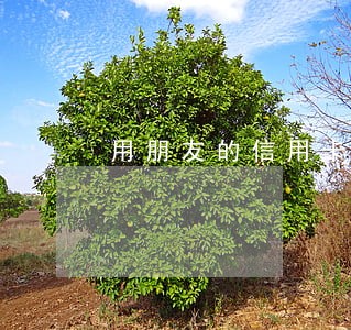 用朋友的信用卡的法律问题 用朋友的信用卡的法律问题