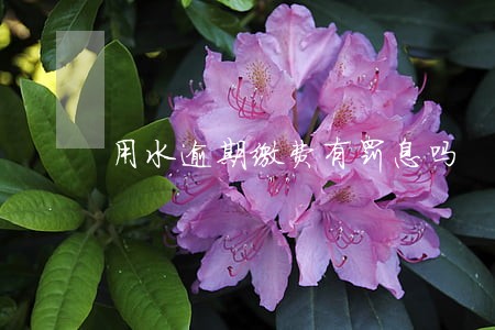 用水逾期缴费有罚息吗 用水逾期缴费有罚息吗