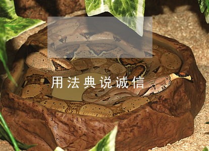用法典说诚信 用法典说诚信