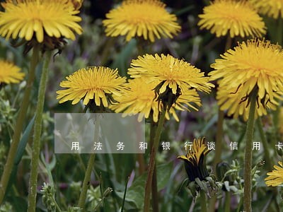 用法务和银行谈信用卡逾期靠谱吗 用法务和银行谈信用卡逾期靠谱吗