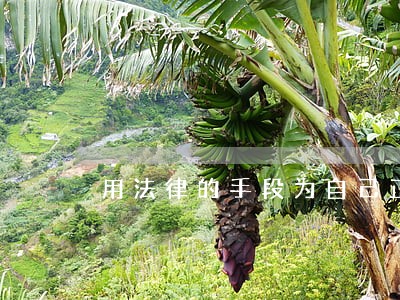 用法律的手段为自己正身 用法律的手段为自己正身
