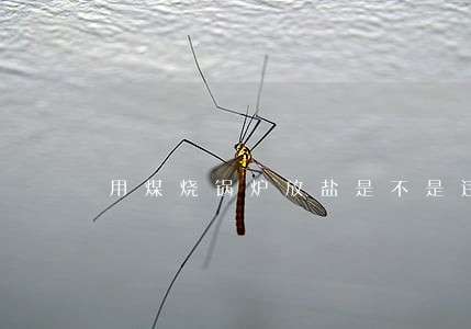 用煤烧锅炉放盐是不是违法