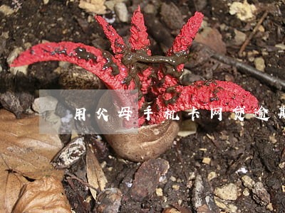 用父母手机卡网贷逾期了 用父母手机卡网贷逾期了