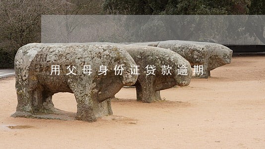 用父母身份证贷款逾期 用父母身份证贷款逾期