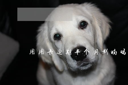 用用卡逾期半个月影响吗 用用卡逾期半个月影响吗