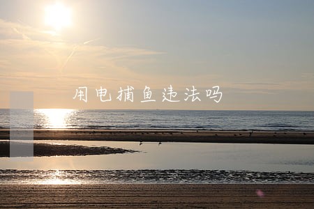 用电捕鱼违法吗 用电捕鱼违法吗