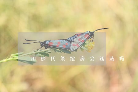 用秒代杀抢房会违法吗 用秒代杀抢房会违法吗