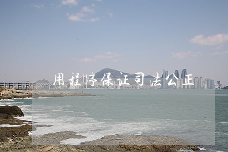 用程序保证司法公正 用程序保证司法公正