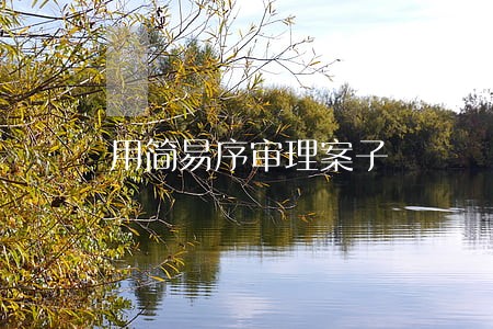 用简易序审理案子