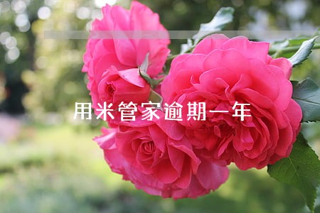 用米管家逾期一年 用米管家逾期一年