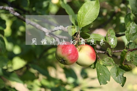用经济法的角度来看 用经济法的角度来看
