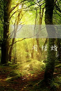 用结婚证贷款如果逾期了后果 用结婚证贷款如果逾期了后果