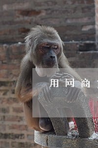 用网商贷贷10万逾期 用网商贷贷10万逾期