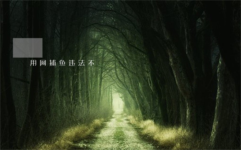 用网捕鱼违法不