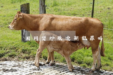 用网贷炒股逾期犯罪吗 用网贷炒股逾期犯罪吗
