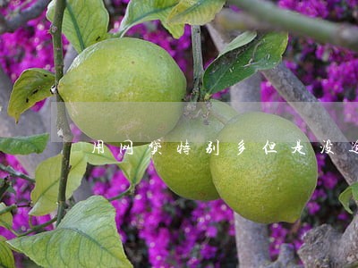 用网贷特别多但是没逾期 用网贷特别多但是没逾期