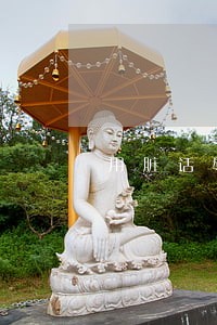 用脏话辱骂他人是不是违法