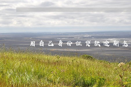 用自己身份证贷款逾期怎么办 用自己身份证贷款逾期怎么办