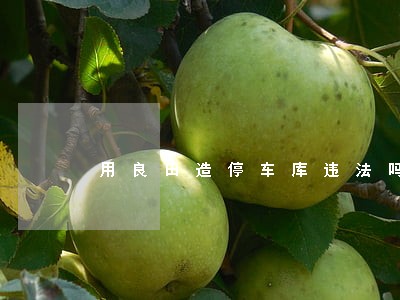 用良田造停车库违法吗 用良田造停车库违法吗